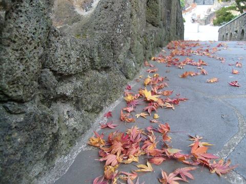 三星名品旅行：一次不一样的韩国
